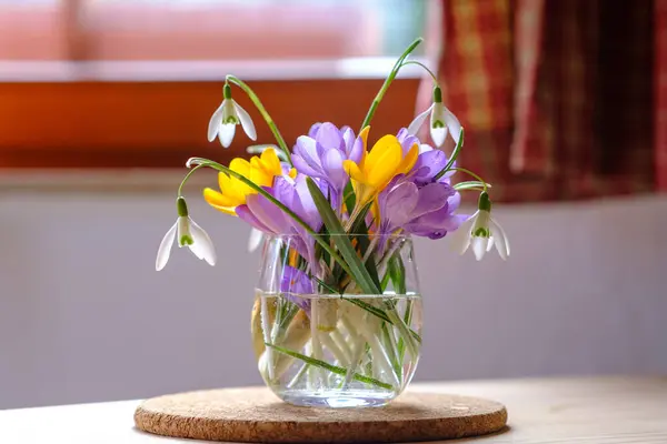 Μπουκέτο Μωβ Κρόκους Στο Βάζο Ανοιξιάτικα Λουλούδια Βάζο Royalty Free Φωτογραφίες Αρχείου