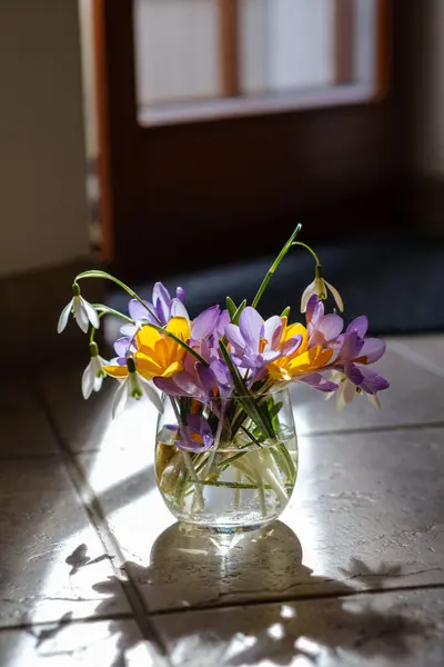 Букет Фіолетового Крупа Вазі Весняні Квіти Вазі Стокове Зображення