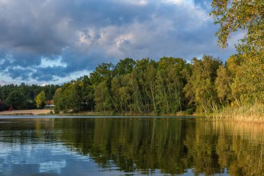 Gölün doğal manzarası, yüksek çözünürlüklü dalgaların sonbahar ormanının arka planına karşı hareketi. Bulutların su dalgaları üzerindeki yansıması. Almanya.