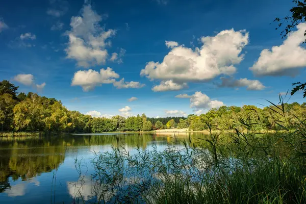 湖の自然景観 高精細 秋の森の背景に波の動き 水の波紋に雲の反射 ドイツ — ストック写真