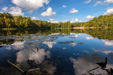 Gölün doğal manzarası, yüksek çözünürlüklü dalgaların sonbahar ormanının arka planına karşı hareketi. Bulutların su dalgaları üzerindeki yansıması. Almanya.