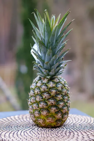 Fresh Delicious Pineapple Fruit Φωτογραφία Αρχείου