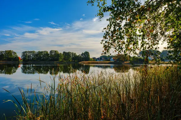 湖的自然景观 高清晰度 波涛汹涌的背景下的秋林 云彩在水的波纹上反射 图库图片
