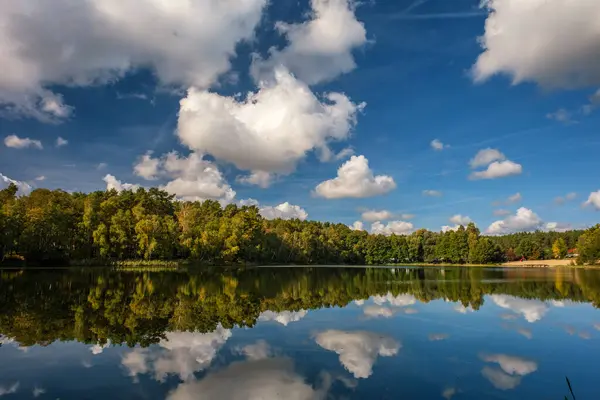 湖的自然景观 高清晰度 波涛汹涌的背景下的秋林 云彩在水的波纹上反射 图库图片