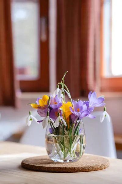 花瓶里有一束紫色番红花 花瓶里的春花 免版税图库照片