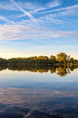 Gölün doğal manzarası, yüksek çözünürlüklü dalgaların sonbahar ormanının arka planına karşı hareketi. Bulutların su dalgaları üzerindeki yansıması. Almanya.
