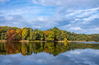 Gölün doğal manzarası, yüksek çözünürlüklü dalgaların sonbahar ormanının arka planına karşı hareketi. Bulutların su dalgaları üzerindeki yansıması. Almanya.
