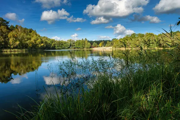 Gölün doğal manzarası, yüksek çözünürlüklü dalgaların sonbahar ormanının arka planına karşı hareketi. Bulutların su dalgaları üzerindeki yansıması. Almanya.