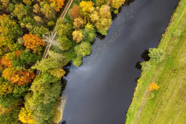 Widok Jezioro Lesie Widok Powietrza Jesienny Las Staw Wśród Drzew Obraz Stockowy