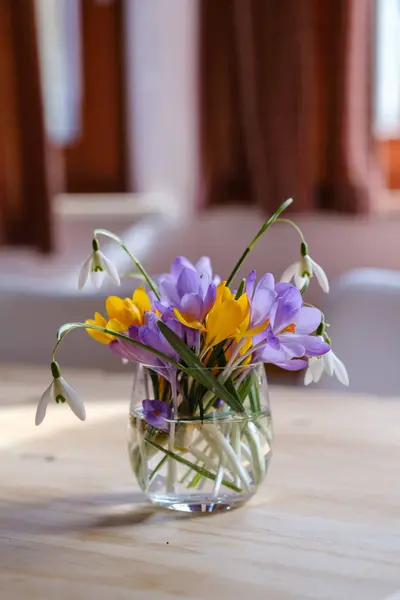 Букет Фиолетового Крокуса Вазе Весенние Цветы Вазе Стоковое Изображение