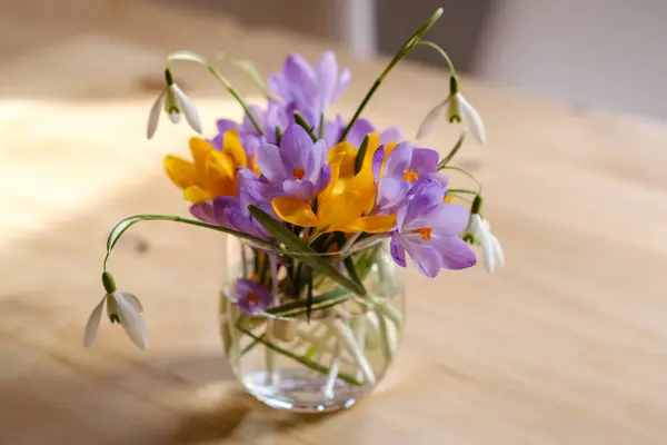 Strauß Lila Krokusse Der Vase Frühlingsblumen Einer Vase lizenzfreie Stockbilder