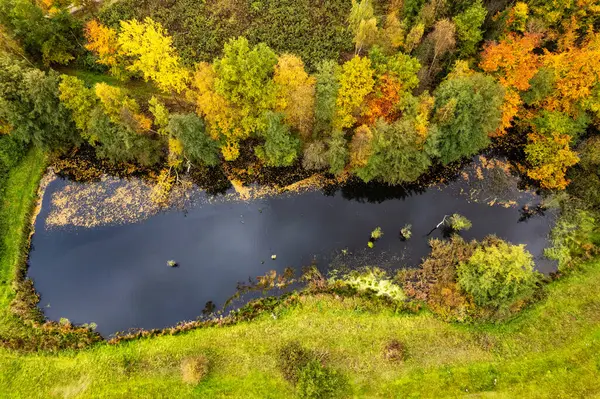 Ein Drohnenblick Auf Den See Wald Eine Luftaufnahme Eines Herbstwaldes Stockfoto