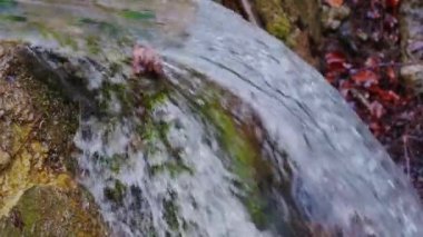 Canlı ve su sıçratan küçük bir dağ deresi gibi. Taze kaynak suyu yosunlu ve karla kaplı kayaların arasından geçiyor. Yavaş çekim.