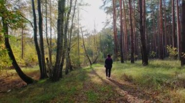 Bir kadının arka görüntüsü bir sonbahar ormanında seyahat eder.