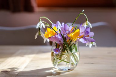 Vazoda bir buket mor krukus. Vazoda bahar çiçekleri.