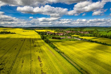 Kolza tohumu tarlalarının en üst görüntüsü. Çizgili ve soyut manzaralı sarı kolza tohumu tarlası. Almanya.