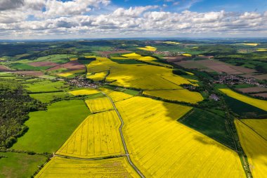 Kolza tohumu tarlalarının en üst görüntüsü. Çizgili ve soyut manzaralı sarı kolza tohumu tarlası. Almanya.