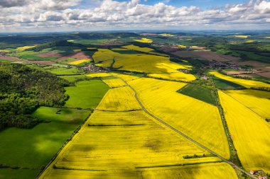 Kolza tohumu tarlalarının en üst görüntüsü. Çizgili ve soyut manzaralı sarı kolza tohumu tarlası. Almanya.