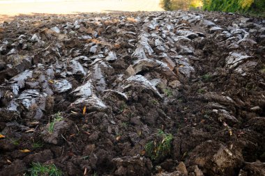 Topraklara yakın çekim, yeni sürülmüş tarlalar. Modern tarım ve sulama işi kavramı. Traktörden sonra ekilebilir arazi ekilmeden önce.