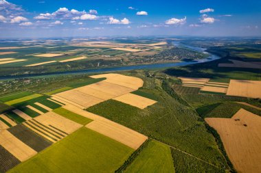 Nefes kesen bir hava görüntüsü canlı yeşil tarlaları ve berrak mavi gökyüzünün altında akan bir nehri yakalar.