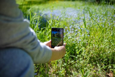 Bir insan, çiçeklerle dolu çarpıcı bir açık hava sahnesini ustalıkla yakalamak için akıllı telefonu neşeyle kullanır.