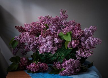 Güzel leylak çiçekleri zarif bir sepetin içinde sergilenir, sakinlik ve güzellik hissi uyandırır.