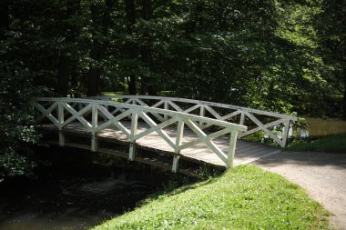 Huzurlu bir ormanda huzurlu bir derenin üzerinde zarif bir şekilde kıvrılan güzel, ahşap bir köprü.