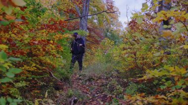 Bir adam canlı ve renkli bir sonbahar ormanı sahnesinde büyük ve devrilmiş bir ağaç dalının altında rahatça yürür.