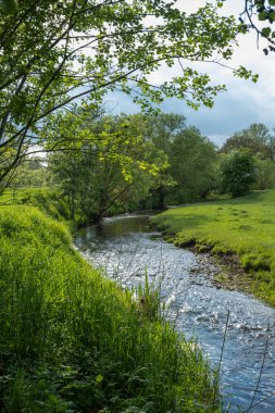 Sakin ve sakin bir nehir manzarası, bulutlu bir gökyüzünün altında canlı yeşil çimenler ve ağaçlarla süslenmiş.