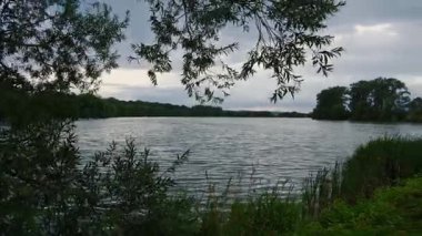 Rüzgarlı bir günde kamışlı ve uzun ağaçlı göl manzarası. Gün batımında gölü olan güzel bir manzara..