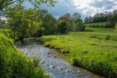 Sakin ve sakin bir nehir manzarası, bulutlu bir gökyüzünün altında canlı yeşil çimenler ve ağaçlarla süslenmiş.