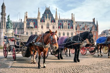 Grote Markt Brugge 'deki Atlar, Bruges, Belçika' nın ana ilgi odağı.