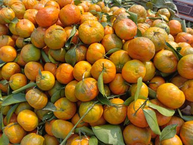 Lezzetli ve sağlıklı portakal stokları satışta