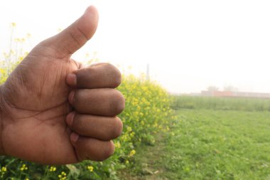 finger sign with mustard farm for deaf people or farmer
