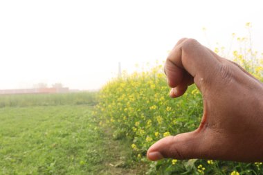 finger sign with mustard farm for deaf people or farmer