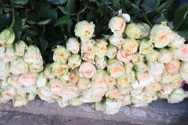 white colored rose bouquet on shop for sell are cash crops