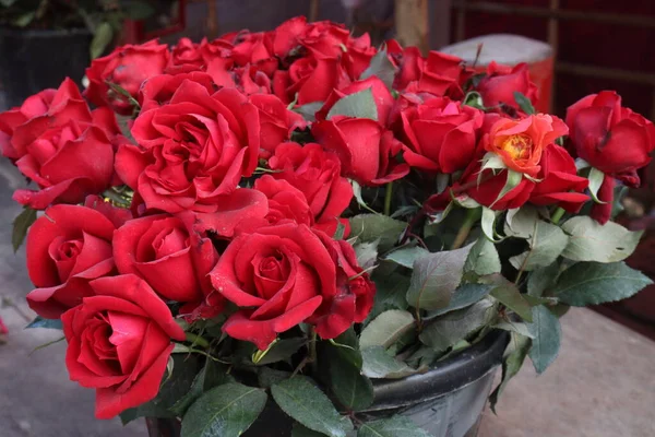 red colored rose bouquet on shop for sell are cash crops