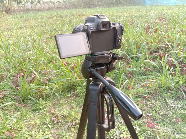 black colored DSLR camera with try pod and nature