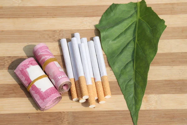 Zelená Tabáková Farma Bankovkou Cigaretou Pro Sklizeň — Stock fotografie