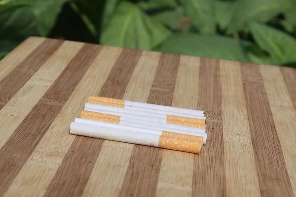 Τσιγάρο Στο Τραπέζι Στο Αγρόκτημα Καπνού Για Συγκομιδή Είναι Καλλιέργειες — Φωτογραφία Αρχείου