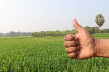 Sağırlar için buğday çiftliği ve doğa işaretleri