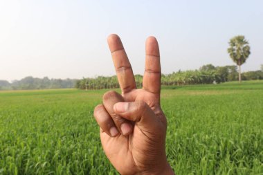 Sağırlar için buğday çiftliği ve doğa işaretleri