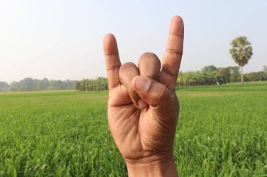 Sağırlar için buğday çiftliği ve doğa işaretleri