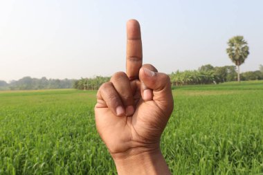 Sağırlar için buğday çiftliği ve doğa işaretleri