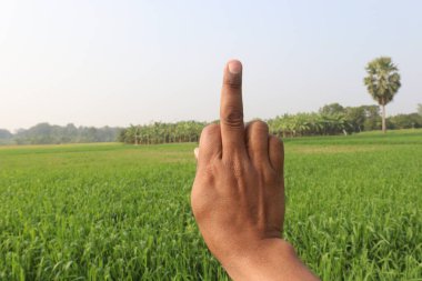 Sağırlar için buğday çiftliği ve doğa işaretleri