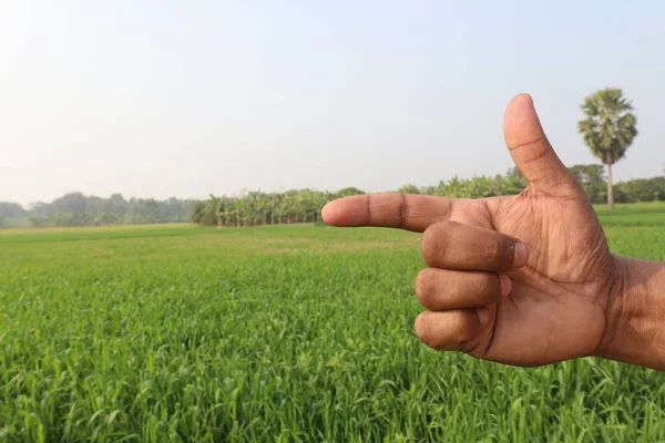 Знак Пальця Пшеничною Фермою Природою Глухих — стокове фото