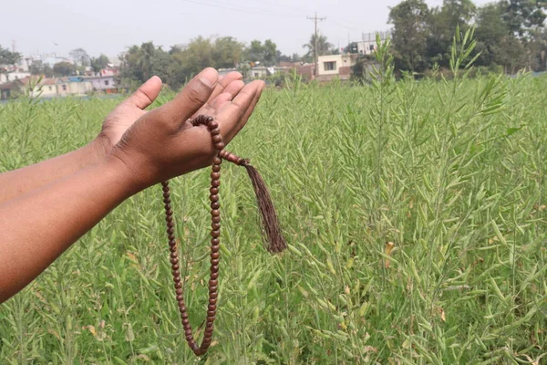 a man standing up his hand with beads tasbih for pray to best mustard crops on farm
