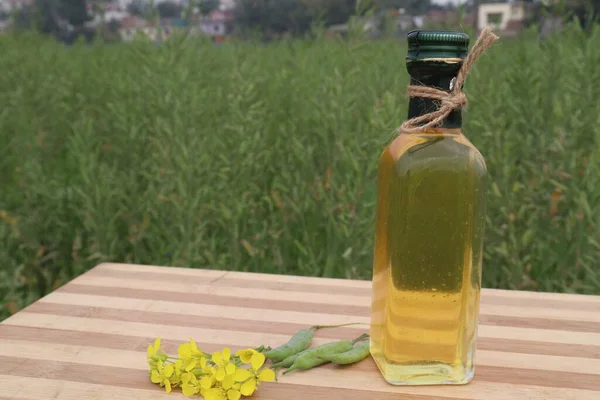 mustard oil in bottle with flower and bud on farm for harvest are cash crops