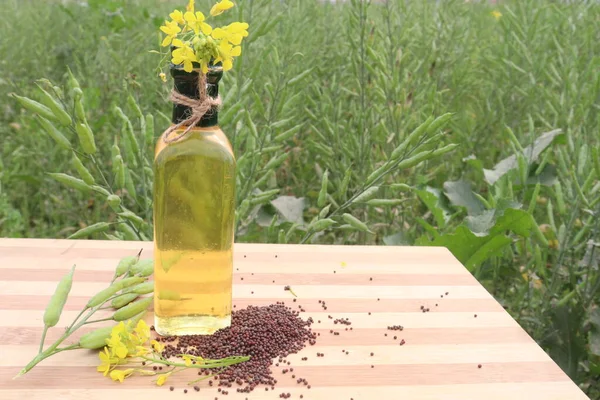 mustard oil in bottle with flower and bud and seed on farm for harvest are cash crops