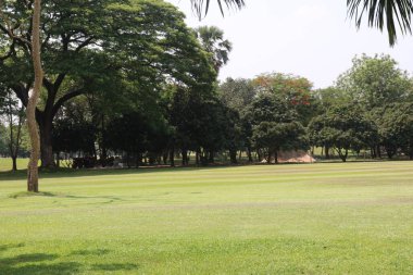 Golf turnuvası için doğa ile yeşil golf sahası